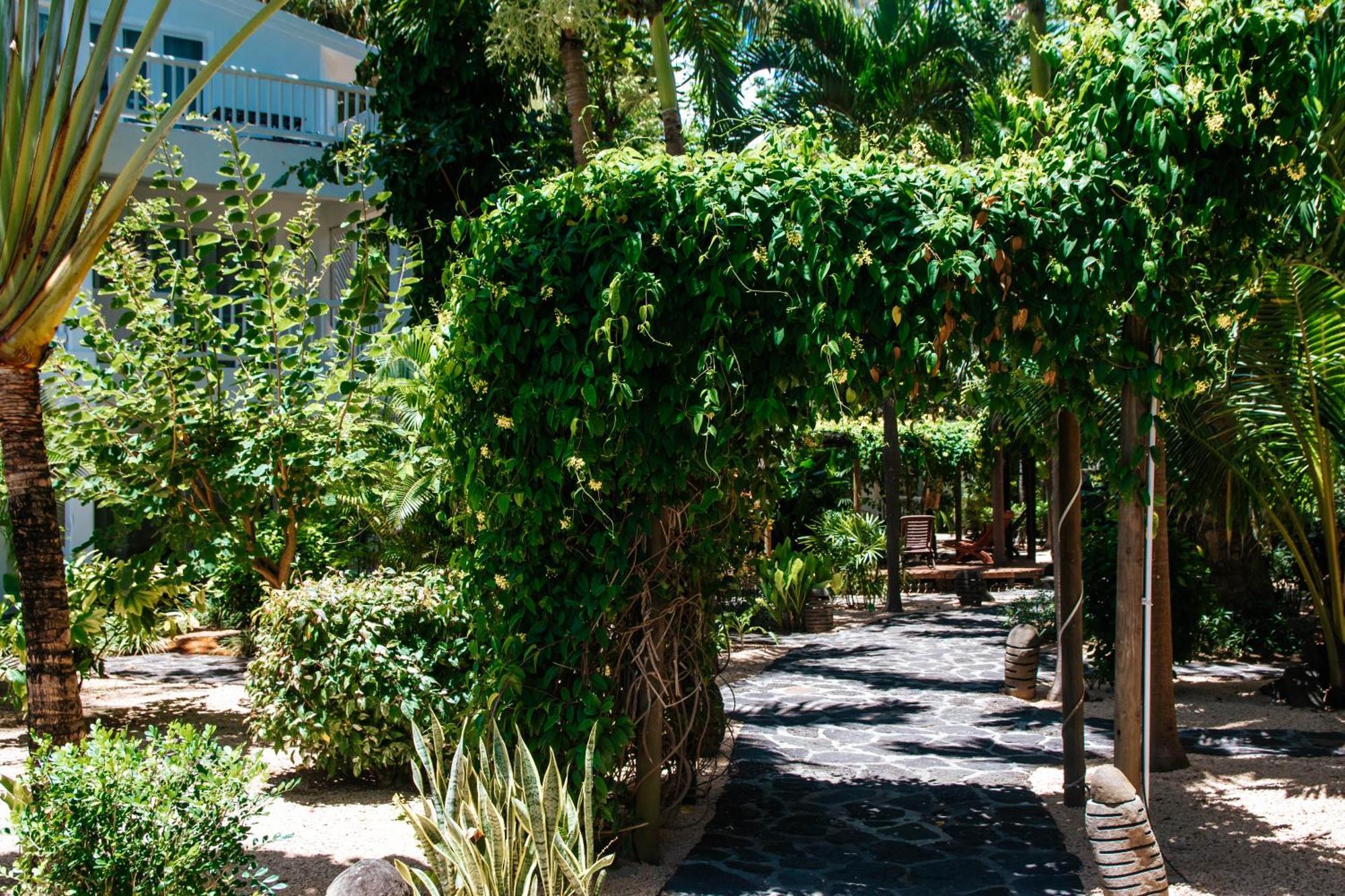 Hibiscus Boutique Hotel Pereybere Beach Exterior foto